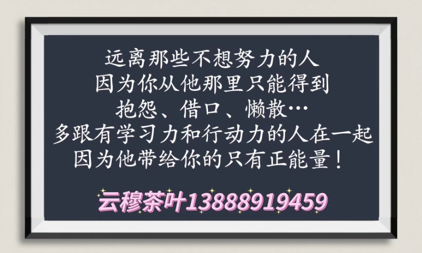 1691333552307.jpeg