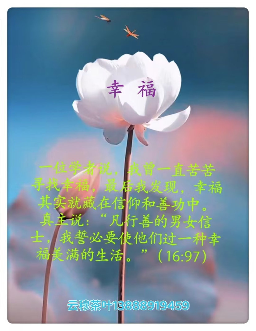 IMG_1841.jpeg
